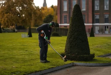 Jardinagem terceirizada: Como funciona e por que contratar?